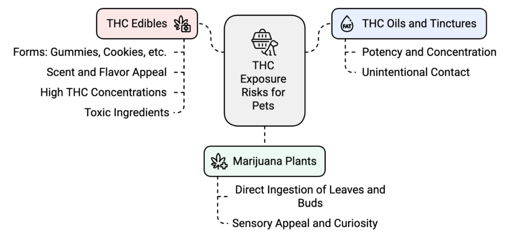 THC Exposure Risks for Pets